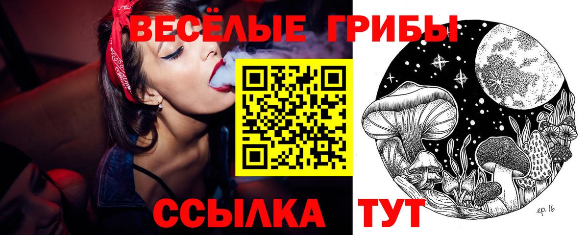 Галлюциногенные грибы Magic Shrooms Гудермес