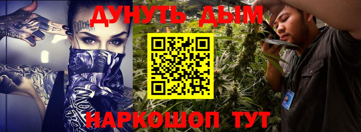 Конопля планчик Гудермес